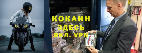хмурый Белокуриха