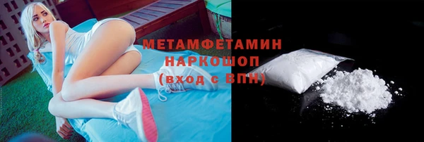 хмурый Белокуриха