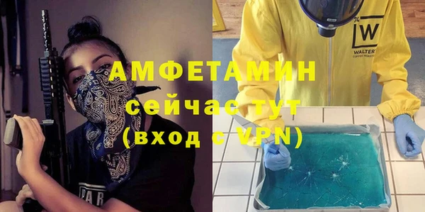 хмурый Белокуриха