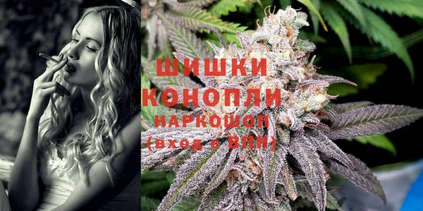 хмурый Белокуриха
