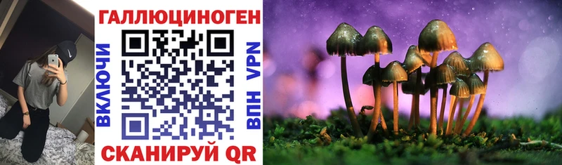 Псилоцибиновые грибы Psilocybe  Дальнегорск 